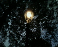 グリーンパークの街灯